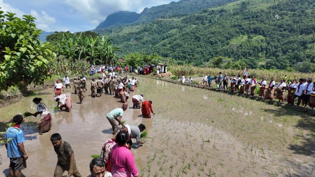 त्रिपुरासुन्दरी गापा-७, सुकौरामा रोपाइँ महोत्सव सम्पन्न